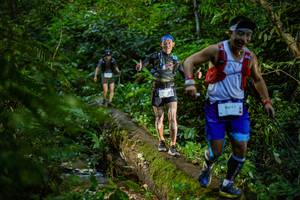 BIB: 9697, 
                            <button type="button" onclick="openModal(18922932)" class="btn btn-primary btn-sm float-right btn-popup" data-toggle="modal" data-target=".modal-high-quality">
                        <i class="fas fa-shopping-cart"></i> Add to Cart
                    </button>
                                            <button type="button" onclick="isThisMe(18922932, true)" class="btn btn-success btn-sm float-right btn-popup btn-isme hidden" data-toggle="tooltip" data-placement="bottom" title="นี่คือรูปของคุณใช่ไหม คลิกที่นี่เพื่อเอาเข้าอัลบั้ม">
                        <i class="fas fa-plus"></i> Add to album
                    </button>
                    <button type="button" onclick="isThisMe(18922932, false)" class="btn btn-warning btn-sm float-right btn-popup btn-isnotme hidden">
                        <i class="fas fa-ban"></i> Remove from album
                    </button>